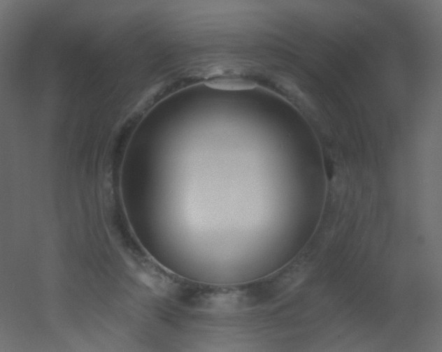 X0000053060306200507111159