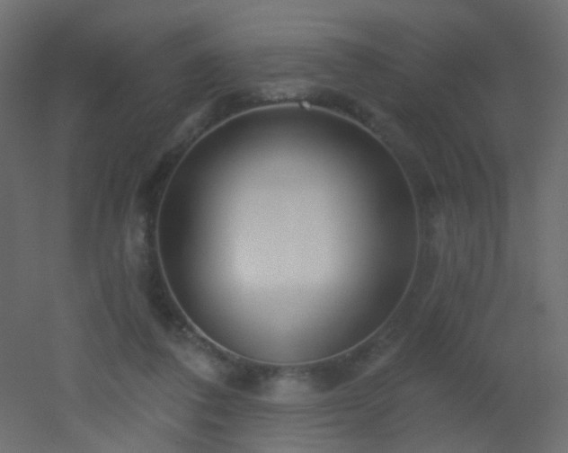 X0000053060308200507111159