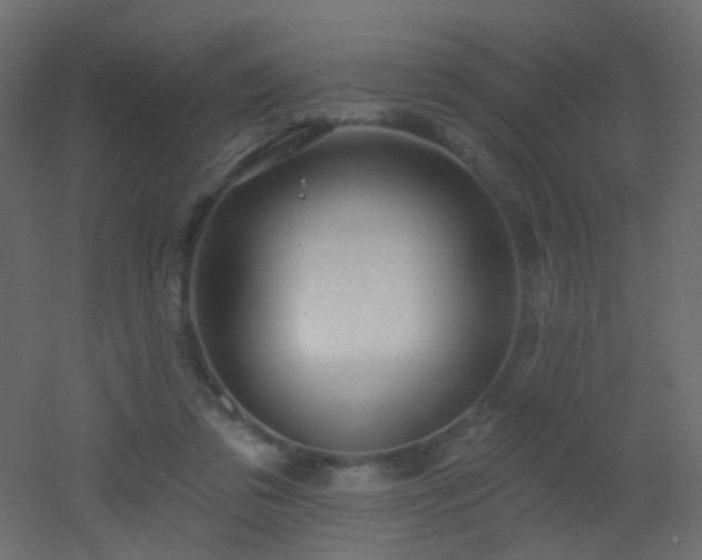 X0000053060309200507111159