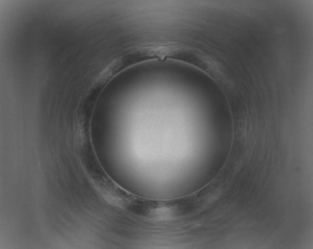 X0000053060312200507111159