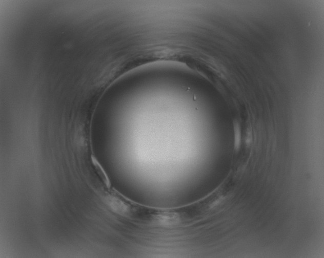 X0000053060317200507111159