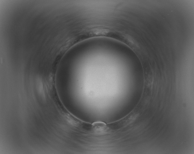 X0000053060321200507111159