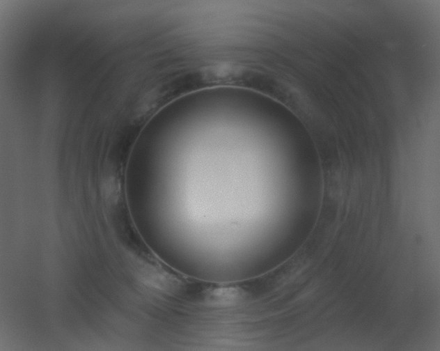 X0000053060324200507111159