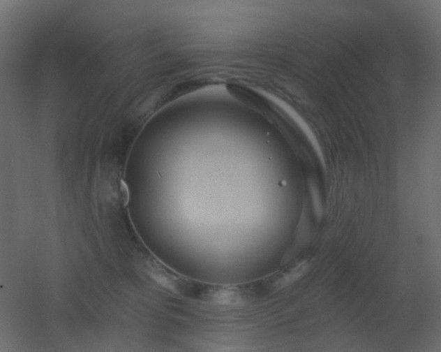 X0000053060325200507111159