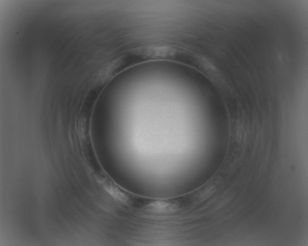 X0000053060326200507111159