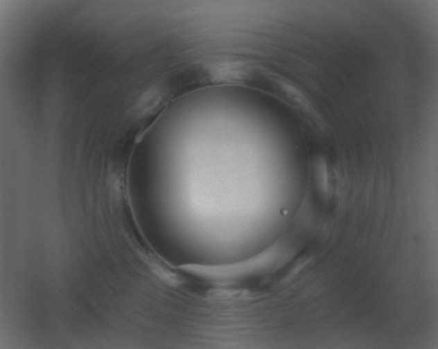 X0000053060329200507111159