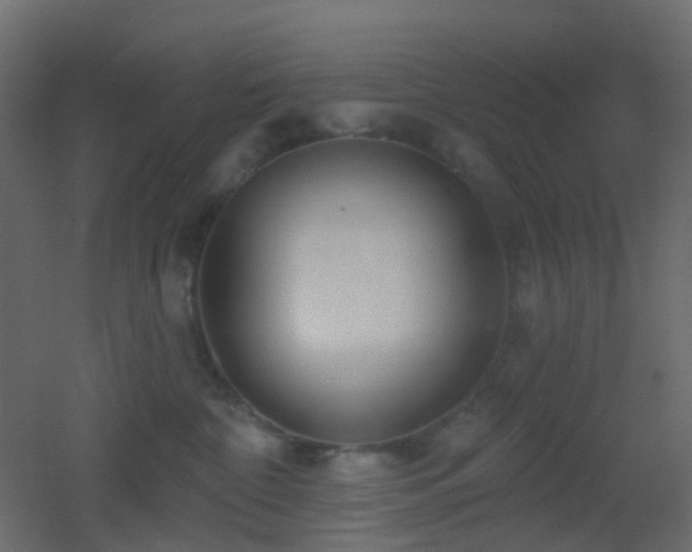 X0000053060332200507111158