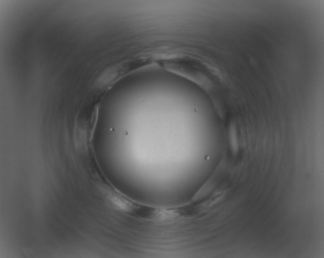 X0000053060333200507111158