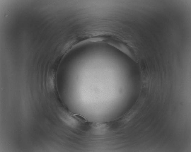 X0000053060334200507111158