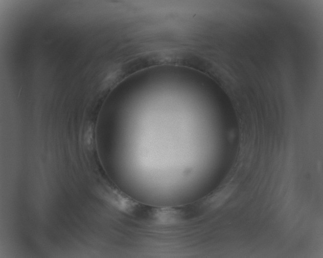 X0000053060336200507111158