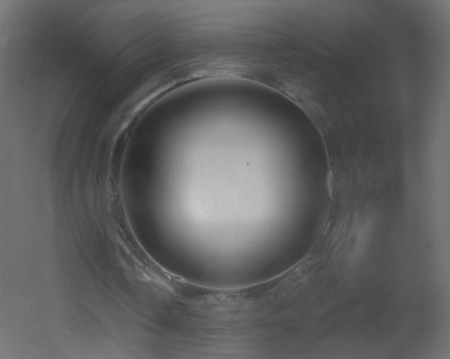 X0000053060338200507111158