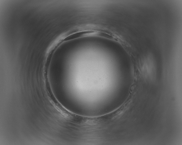 X0000053060341200507111158