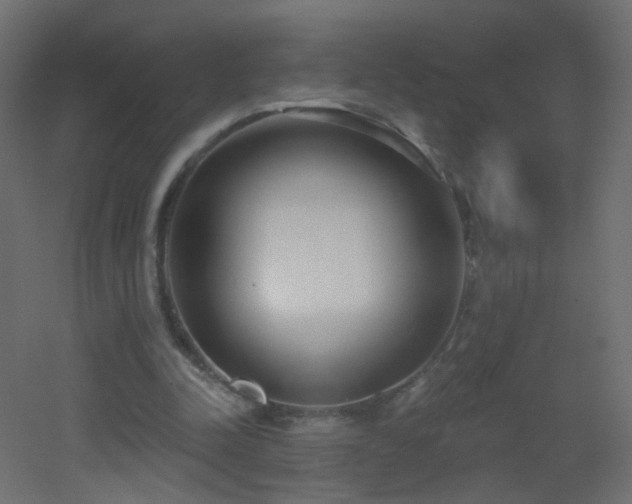 X0000053060342200507111158