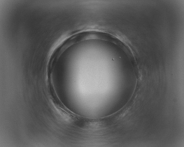 X0000053060344200507111158