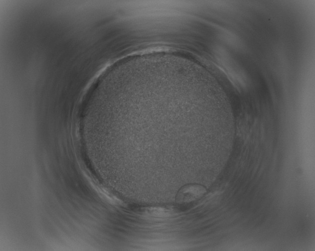 X0000053060347200507111158