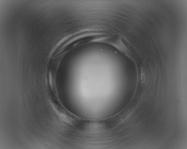 X0000053060348200507111158