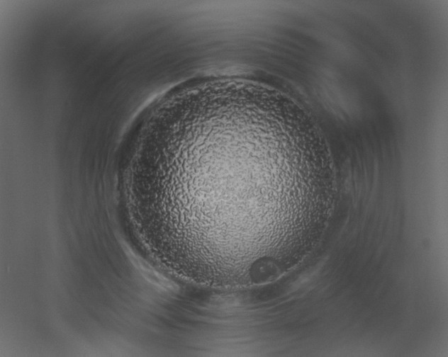 X0000053060351200507111158