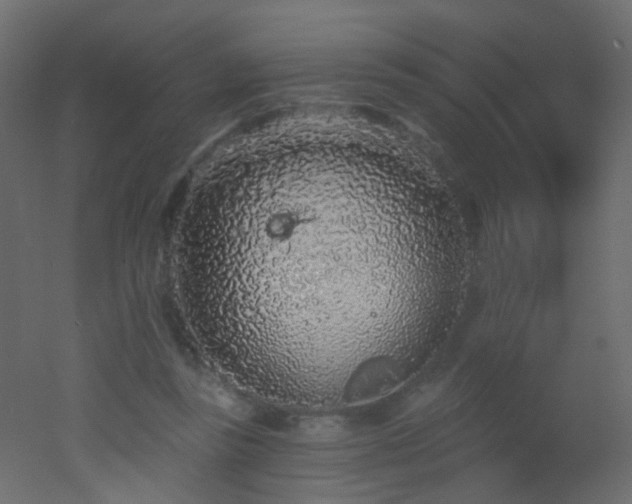 X0000053060355200507111158