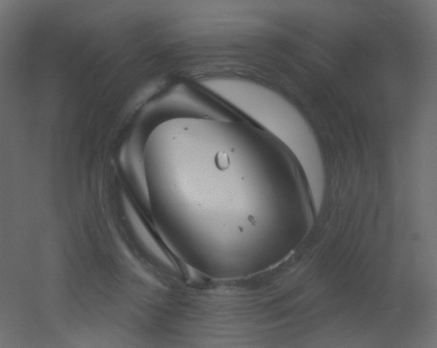 X0000053060356200507111158