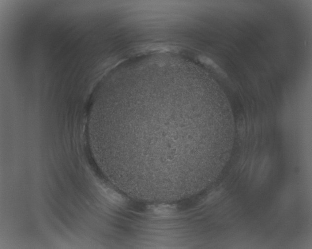 X0000053060359200507111158