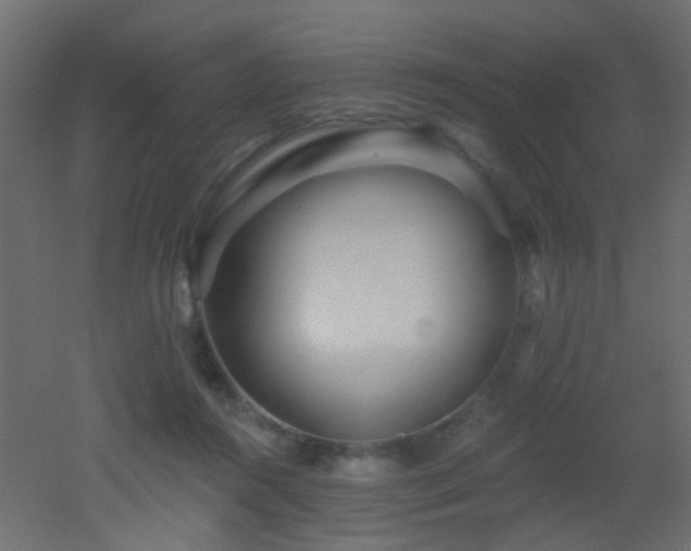 X0000053060360200507111158
