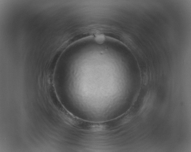 X0000053060363200507111158