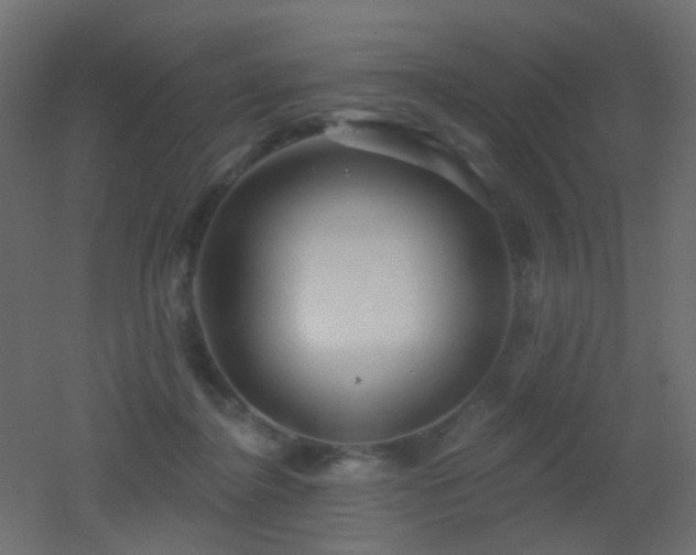X0000053060364200507111158