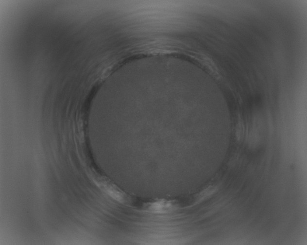 X0000053060366200507111158