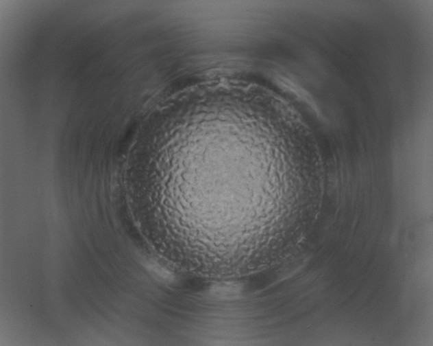 X0000053060369200507111158