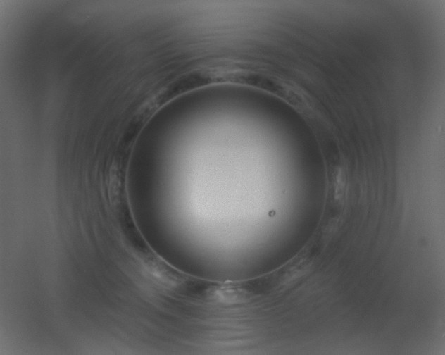 X0000053060372200507111158
