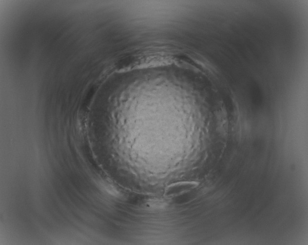 X0000053060373200507111158