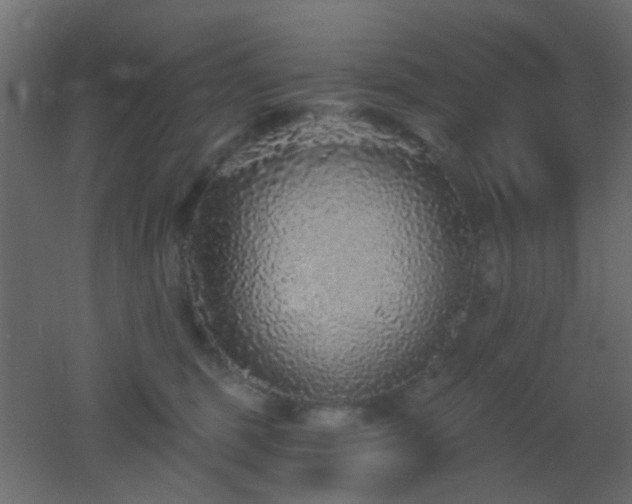 X0000053060375200507111158