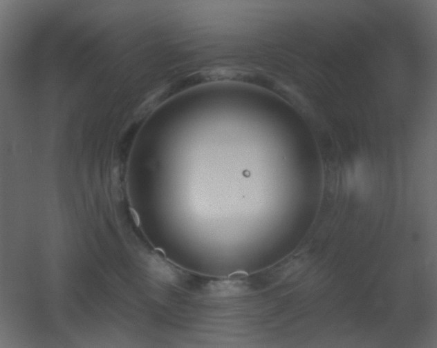 X0000053060378200507111158