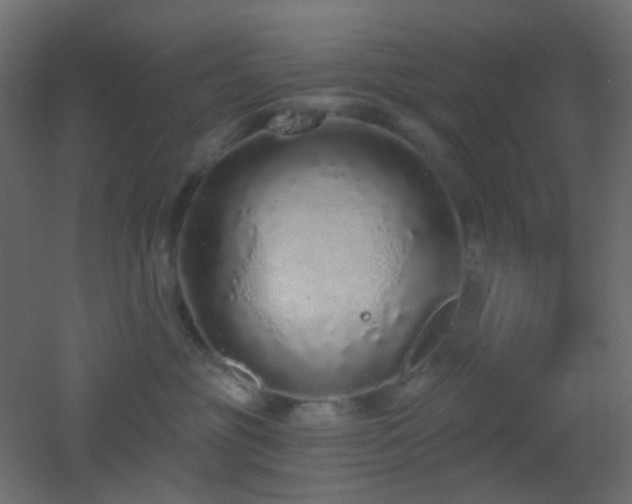 X0000053060381200507111158