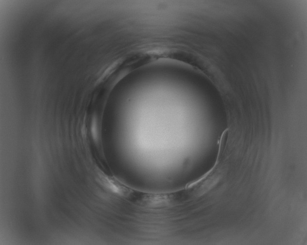 X0000053060384200507111158