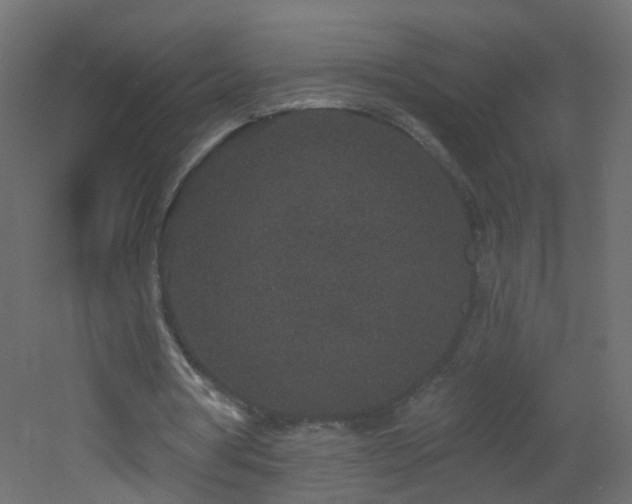 X0000053060386200507111158
