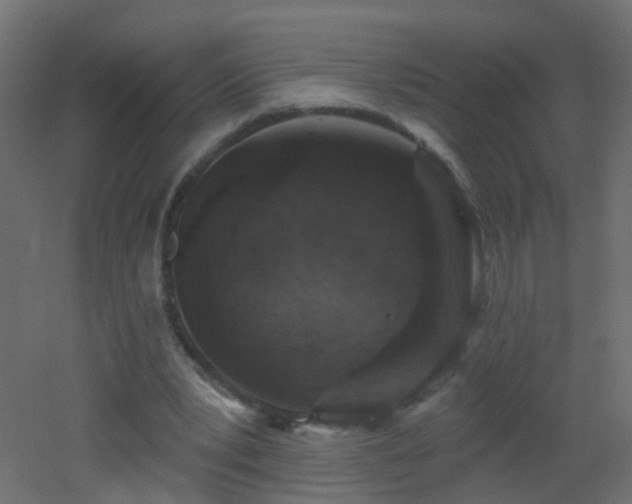 X0000053060391200507111157