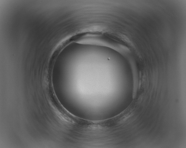 X0000053060392200507111157