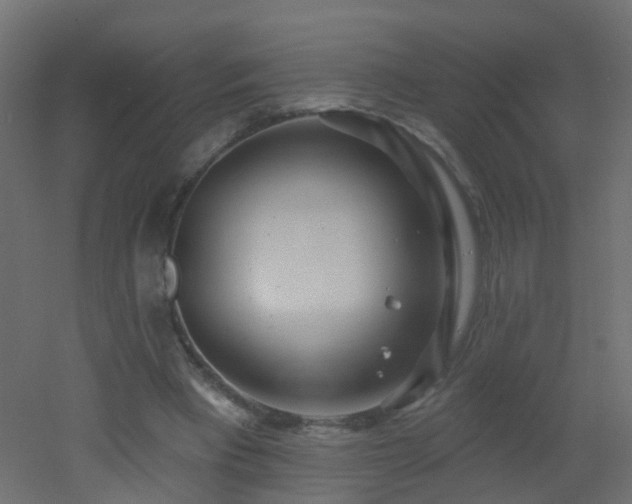 X0000053060393200507111157