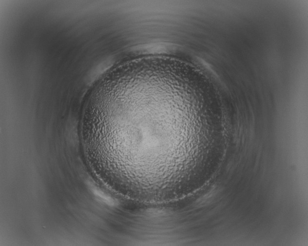 X0000053060394200507111157