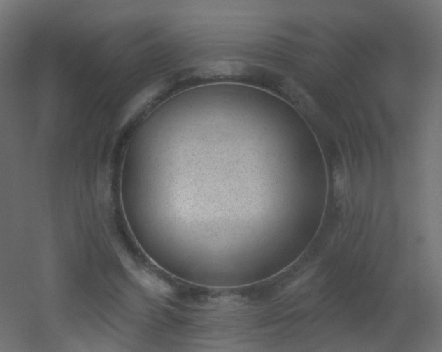 X0000053060396200507111157