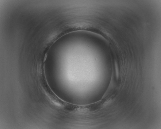 X0000053060403200507111157