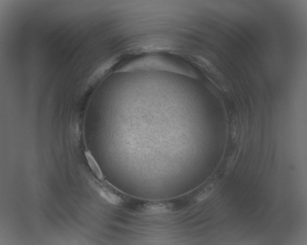 X0000053060405200507111157
