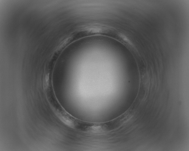 X0000053060406200507111157