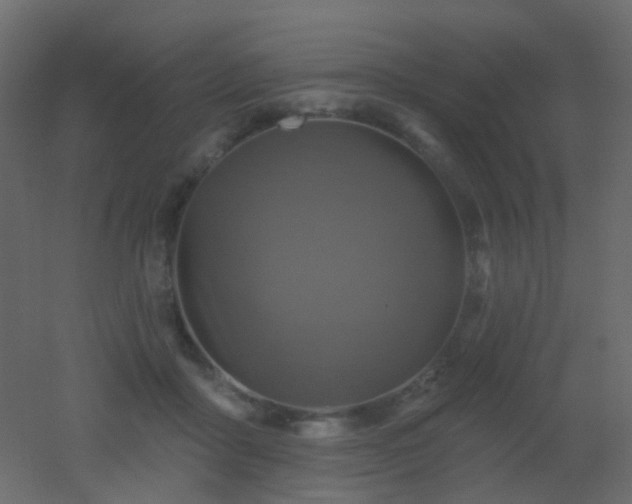 X0000053060411200507111157