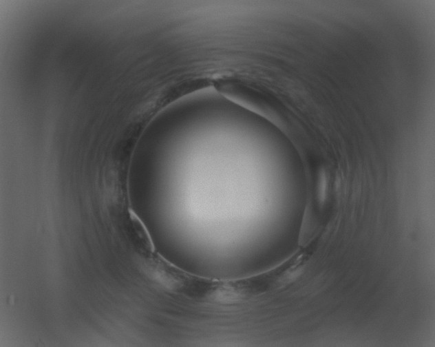X0000053060416200507111157