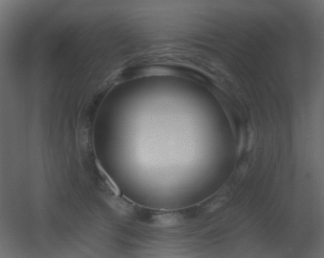 X0000053060417200507111157