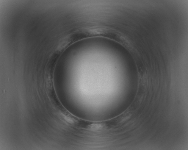 X0000053060418200507111157