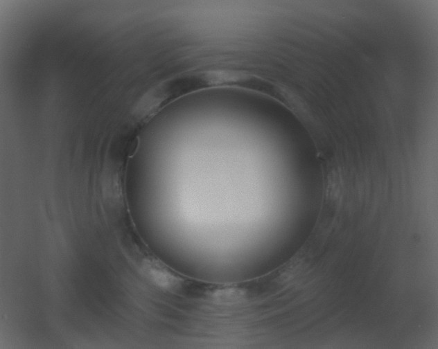 X0000053060426200507111157