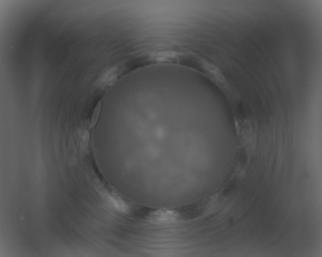 X0000053060427200507111157